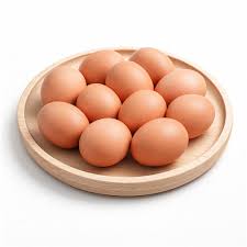 telur ayam